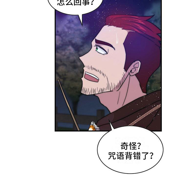 第13章：咒语出错10
