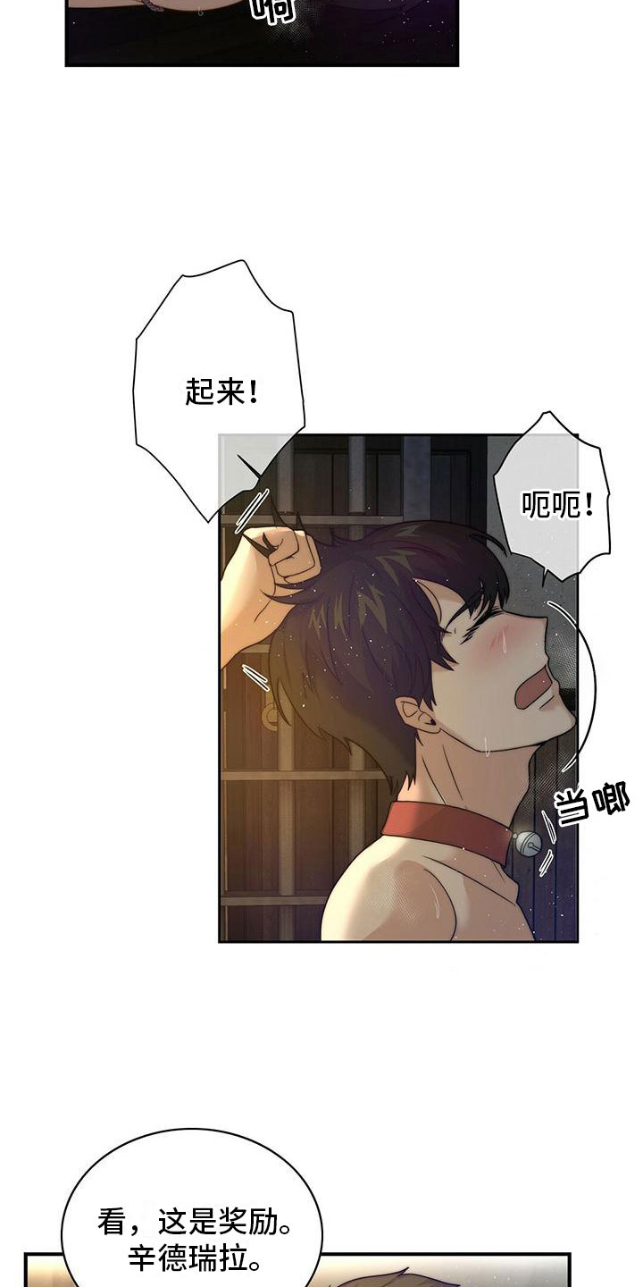 第10章：奖励12