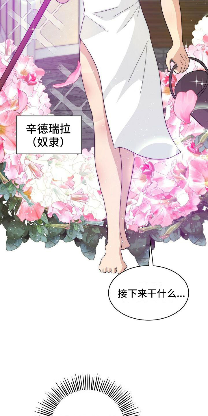 第1章：“灰姑娘”6