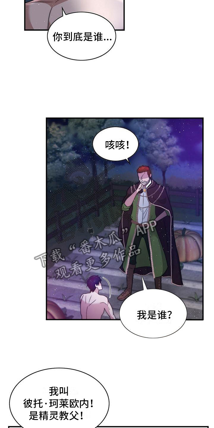 第11章：精灵13