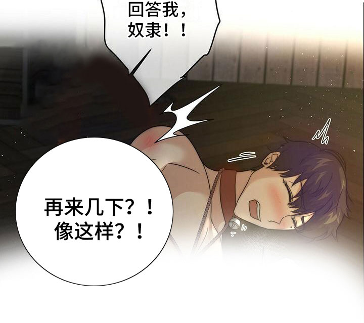第10章：奖励10