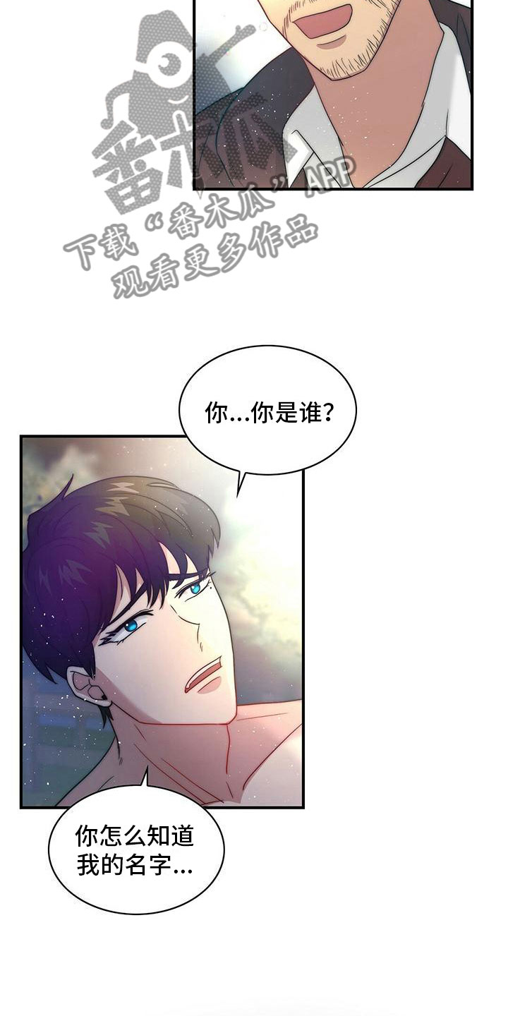 第11章：精灵8