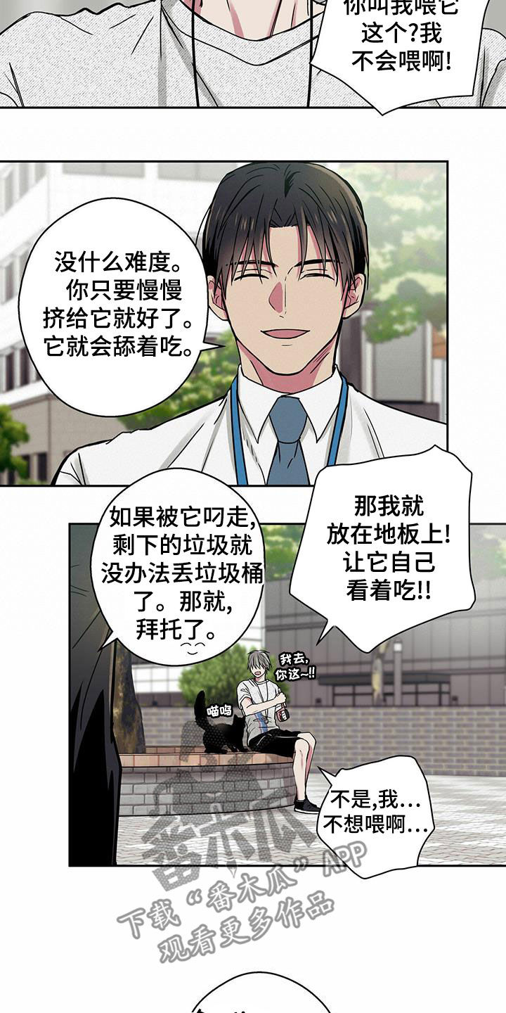 第22章：喂猫3