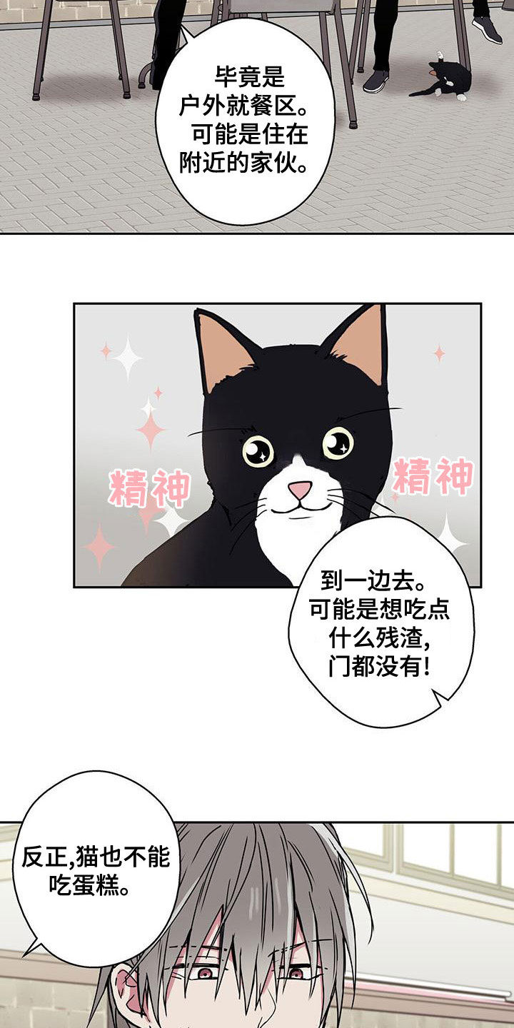 第34章：拍照7
