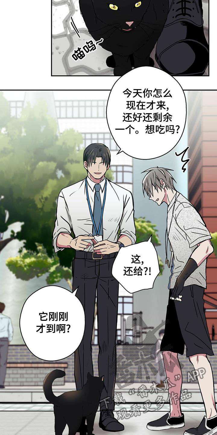 第21章：偶遇11