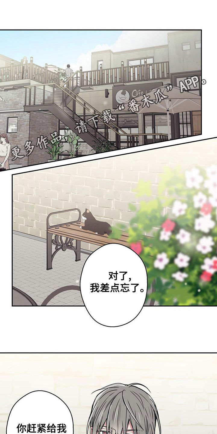 第34章：拍照0