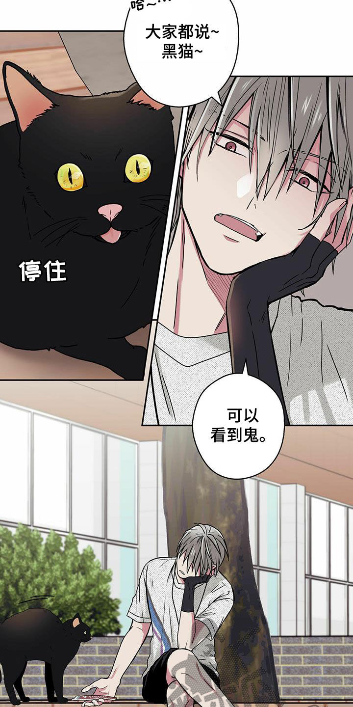第22章：喂猫4