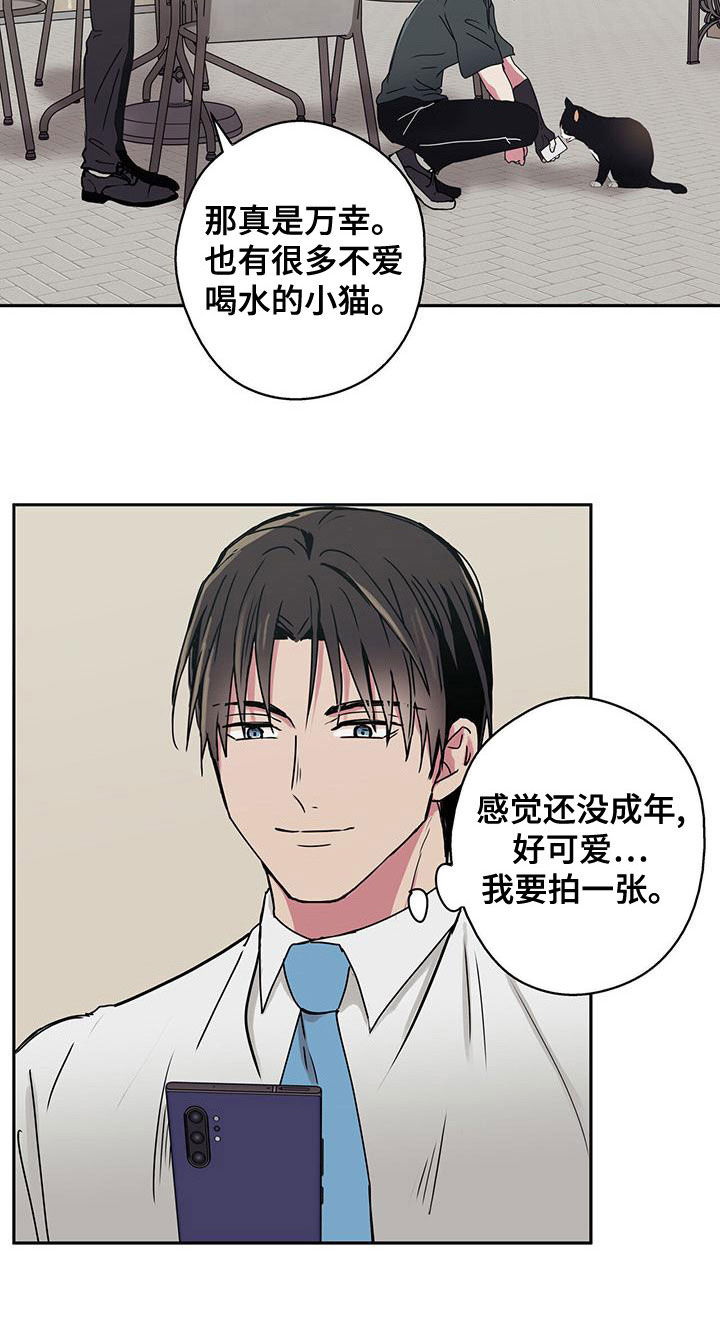 第34章：拍照13