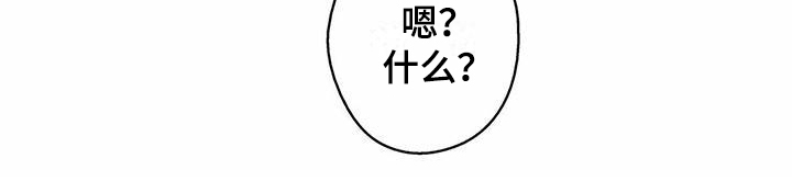 第10章：特别情报17