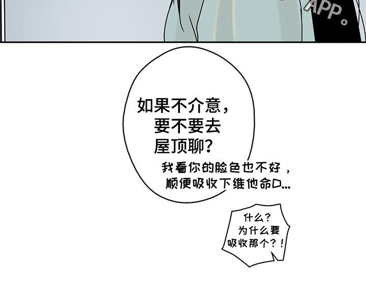 第52章：见面17