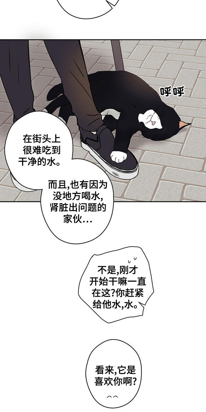 第34章：拍照9