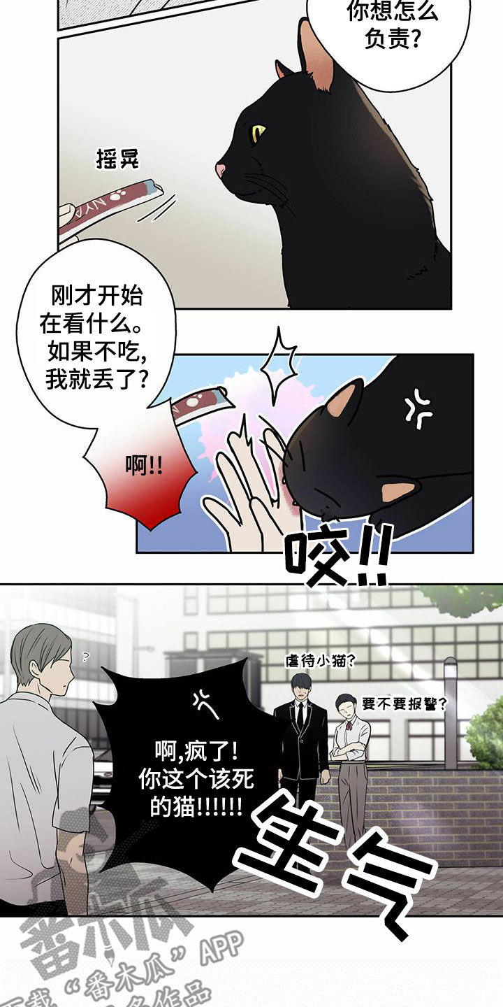 第22章：喂猫11