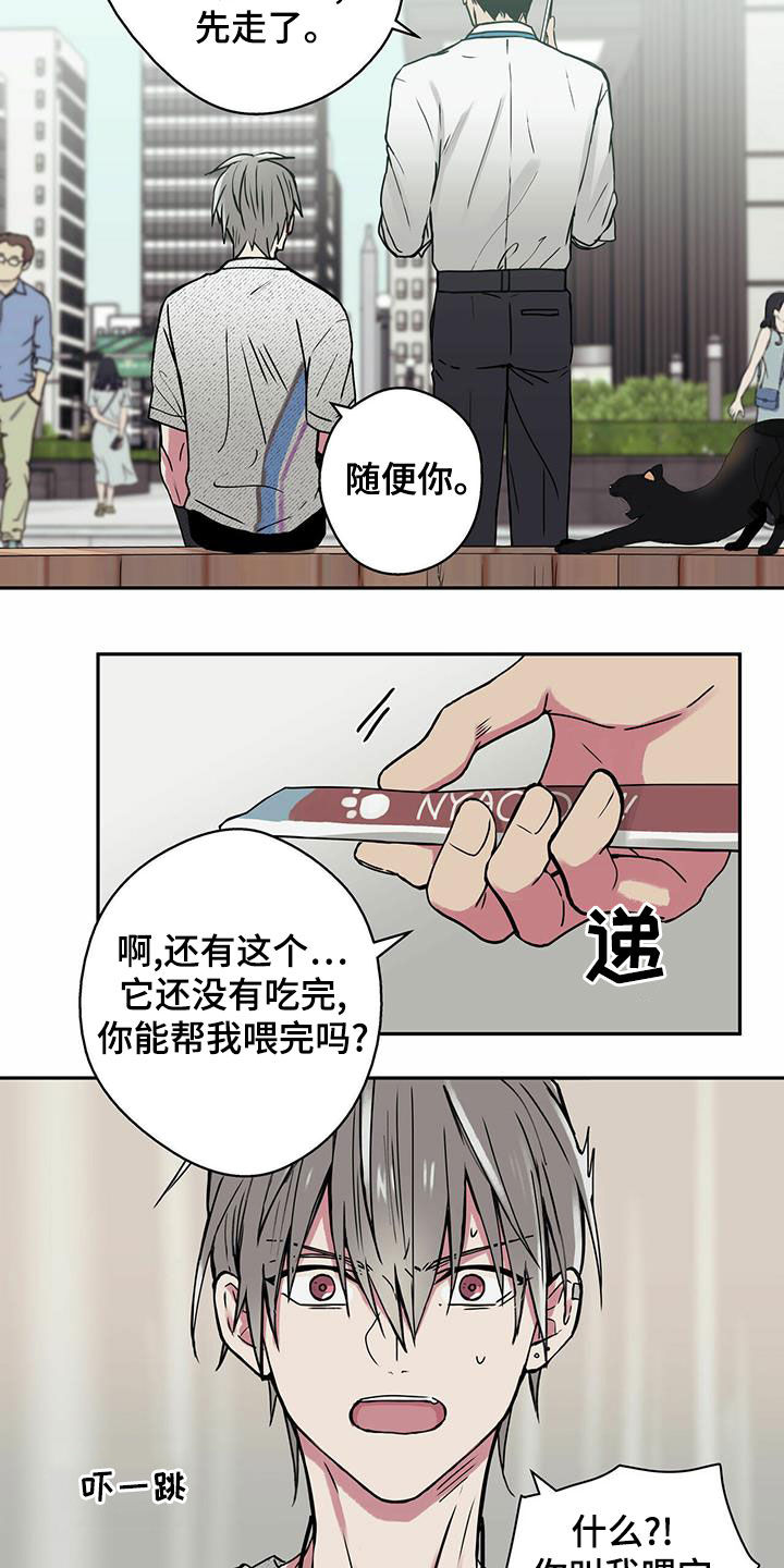 第22章：喂猫2
