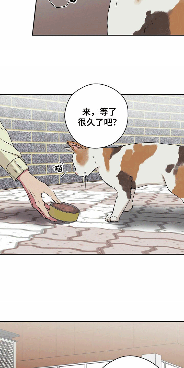 第7章：再次相遇10