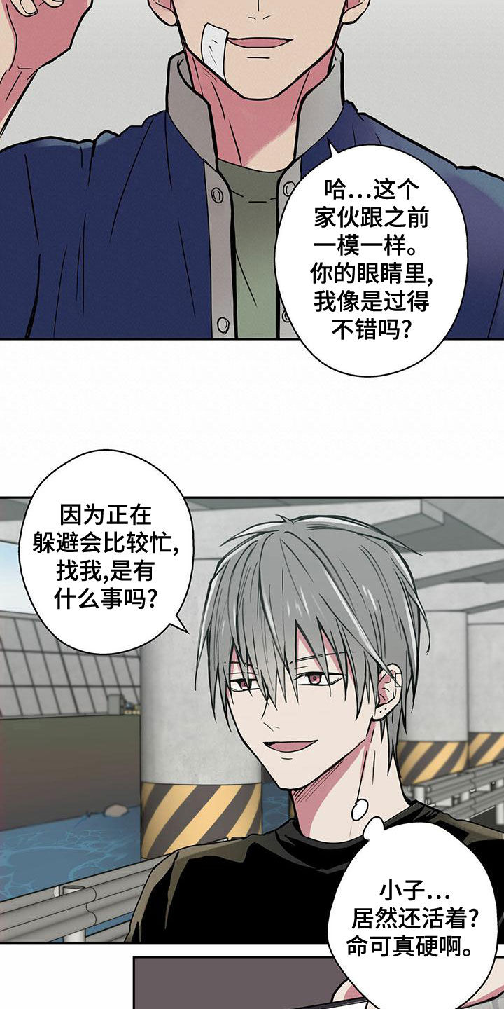 第25章：通缉犯7