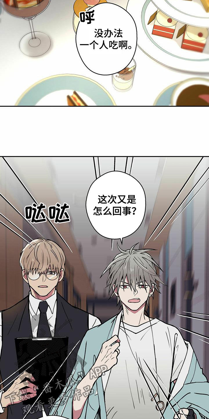 第19章：不要期待了6