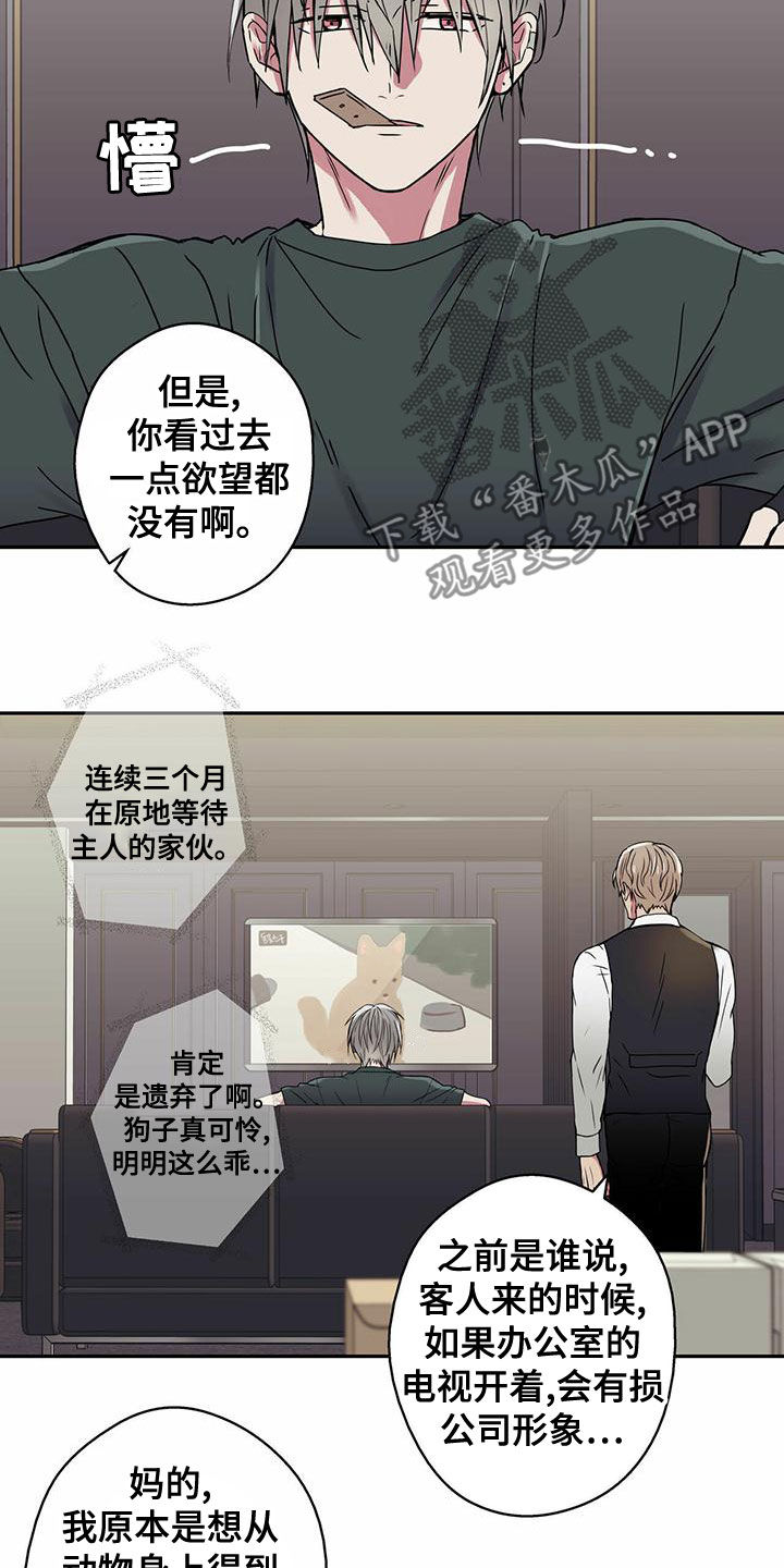 第31章：调查15