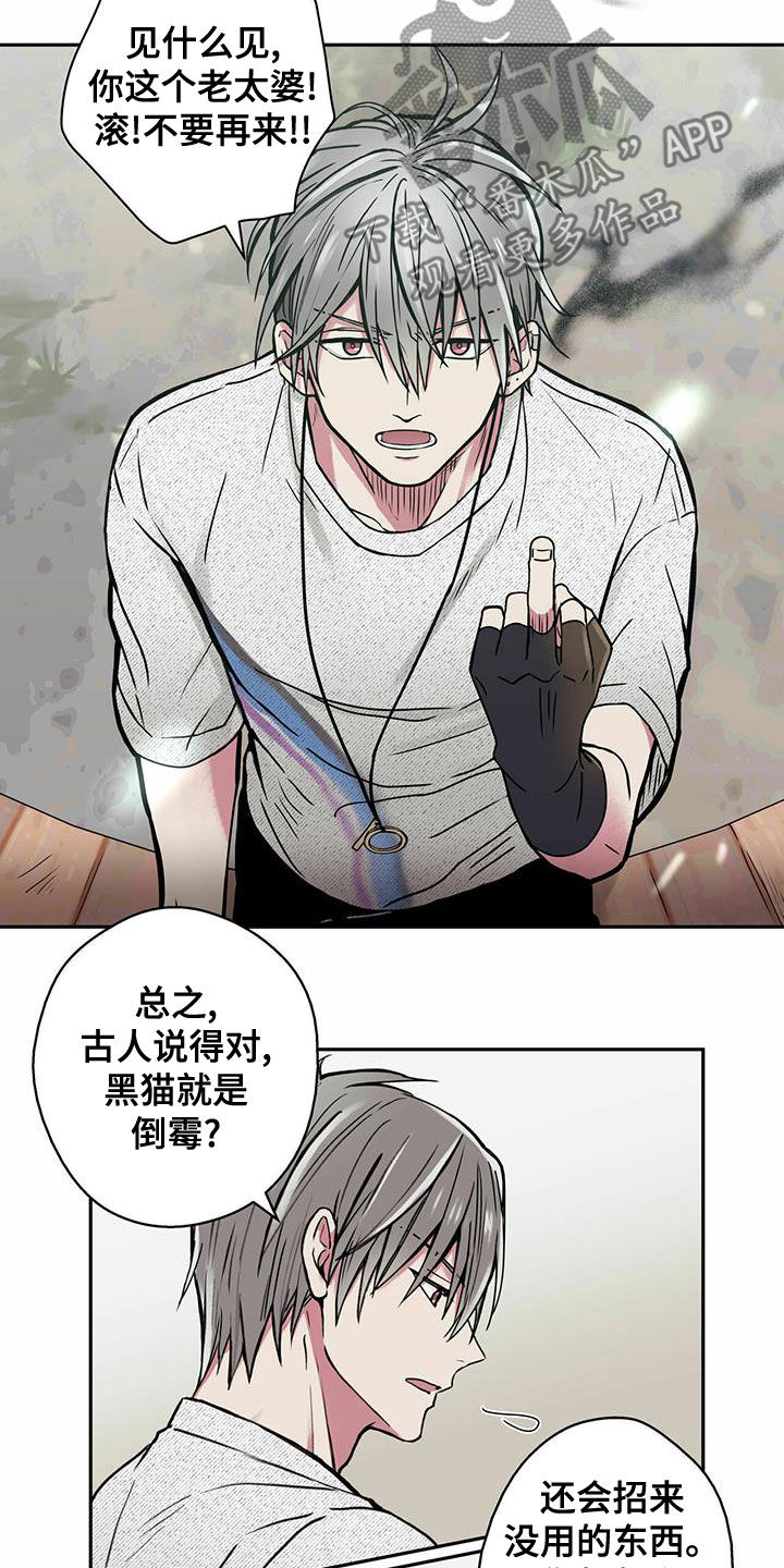 第22章：喂猫10