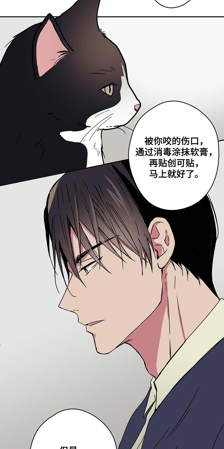 第58章：注意事项8