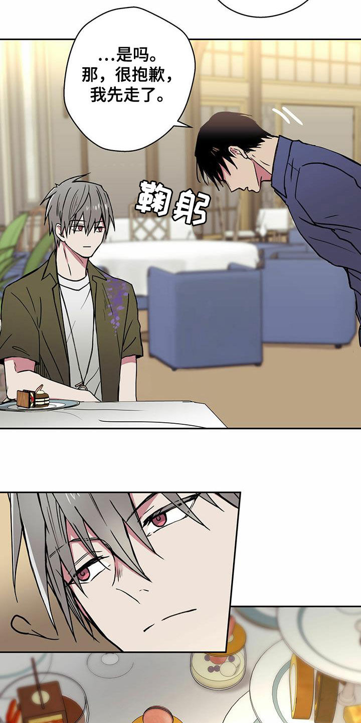 第19章：不要期待了5