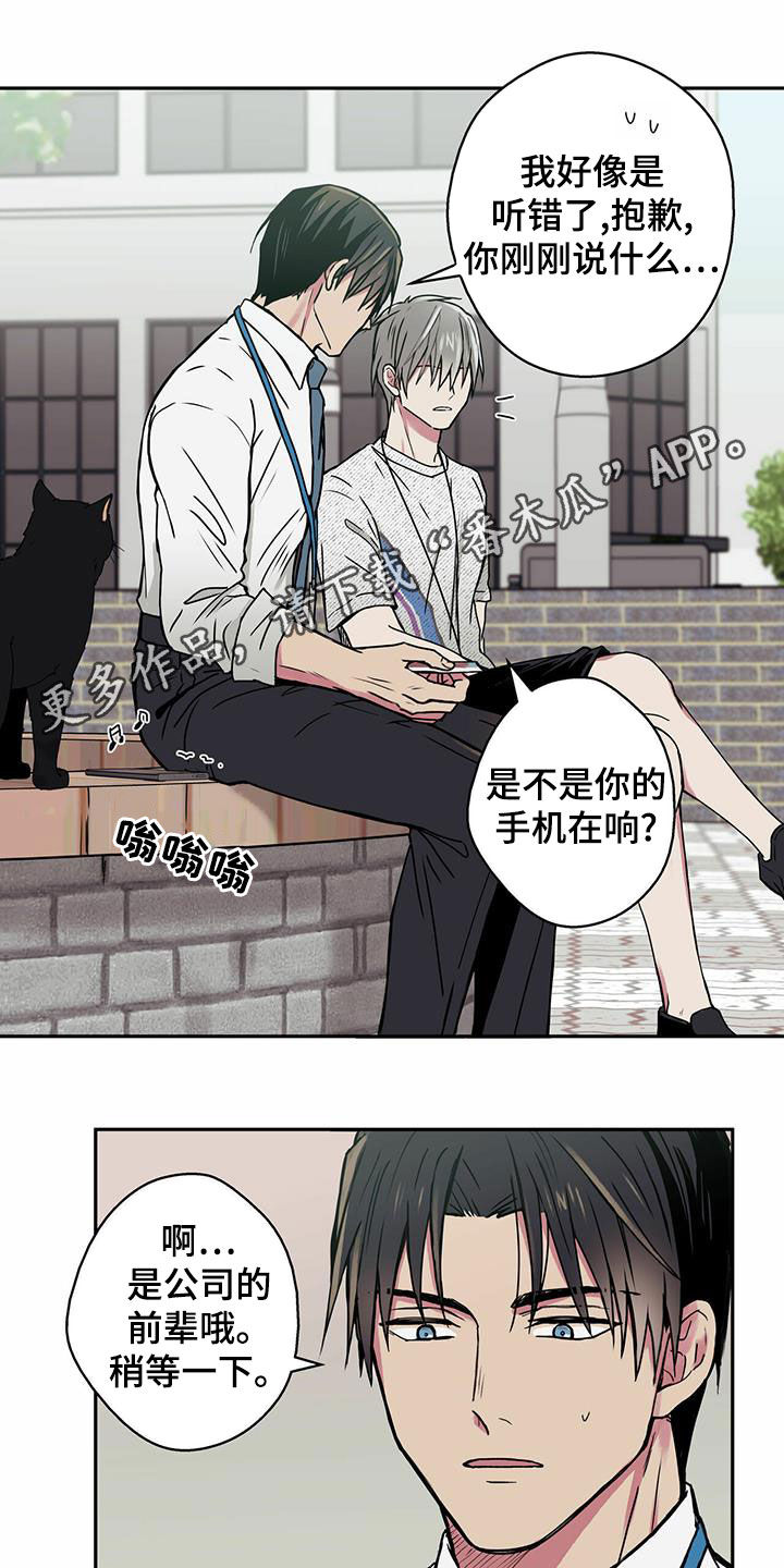 第22章：喂猫0