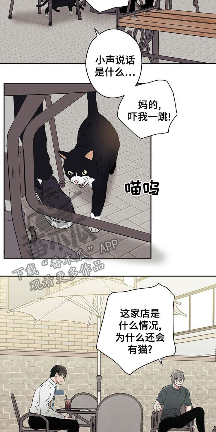 第34章：拍照6