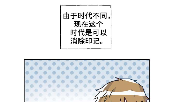 第45章：这就是爱情10