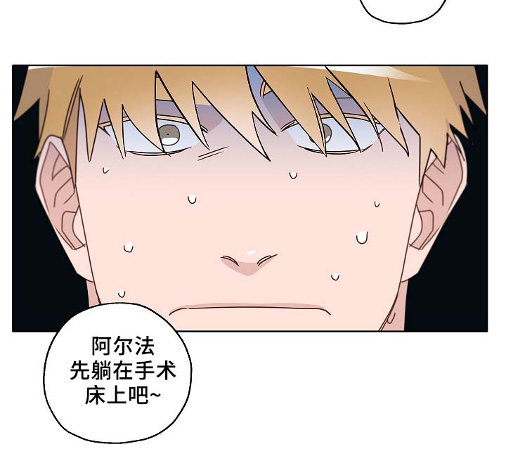 第46章：变了很多12