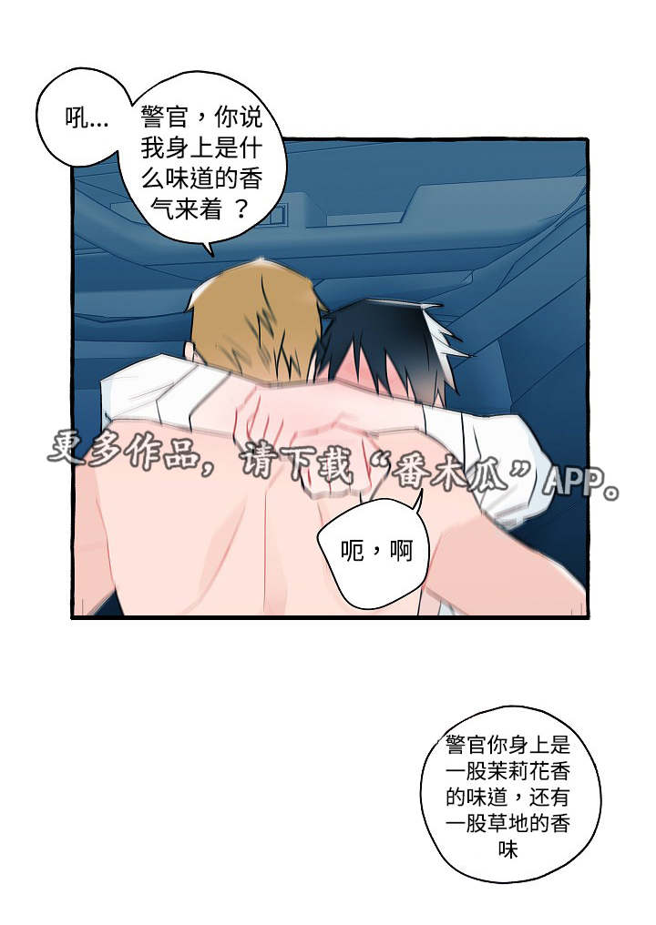 第27章：我喜欢你8