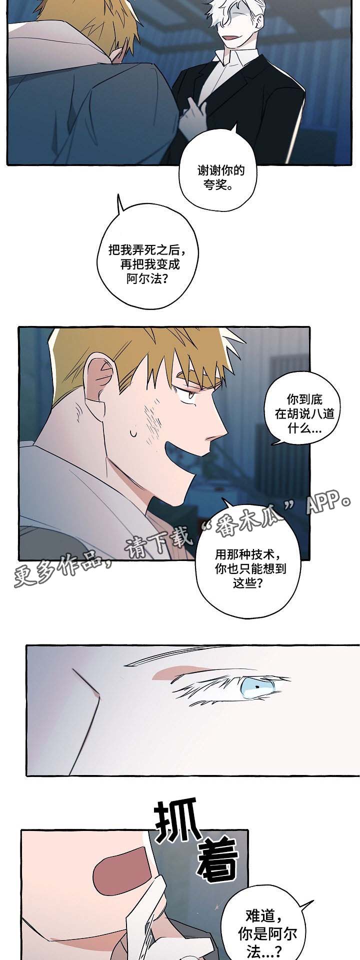 第31章：分析7