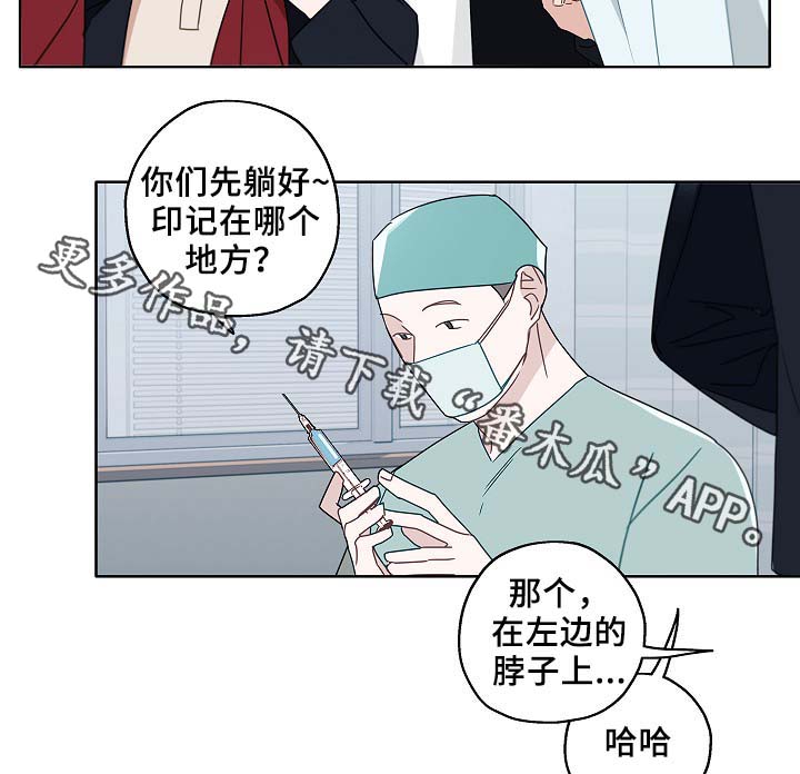 第46章：变了很多11