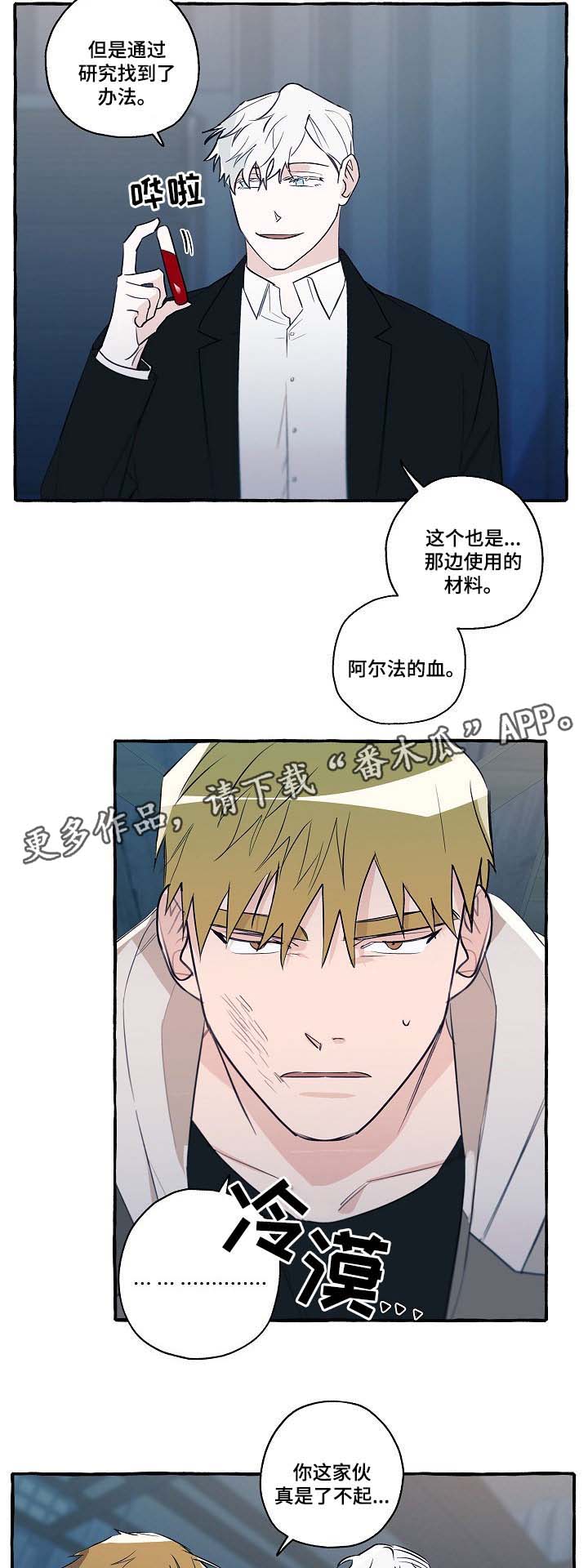 第31章：分析6
