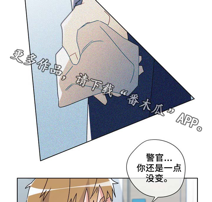 第46章：变了很多31
