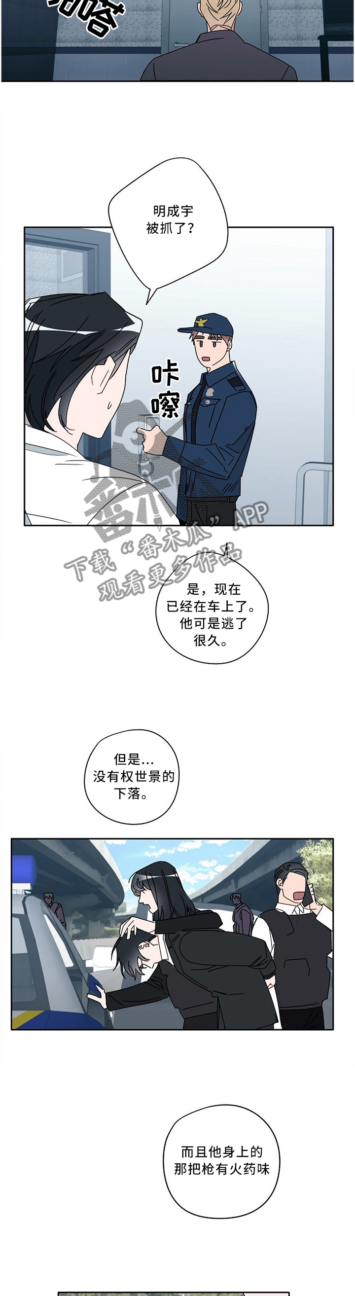 第81章：底牌6