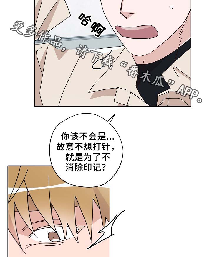 第46章：变了很多18