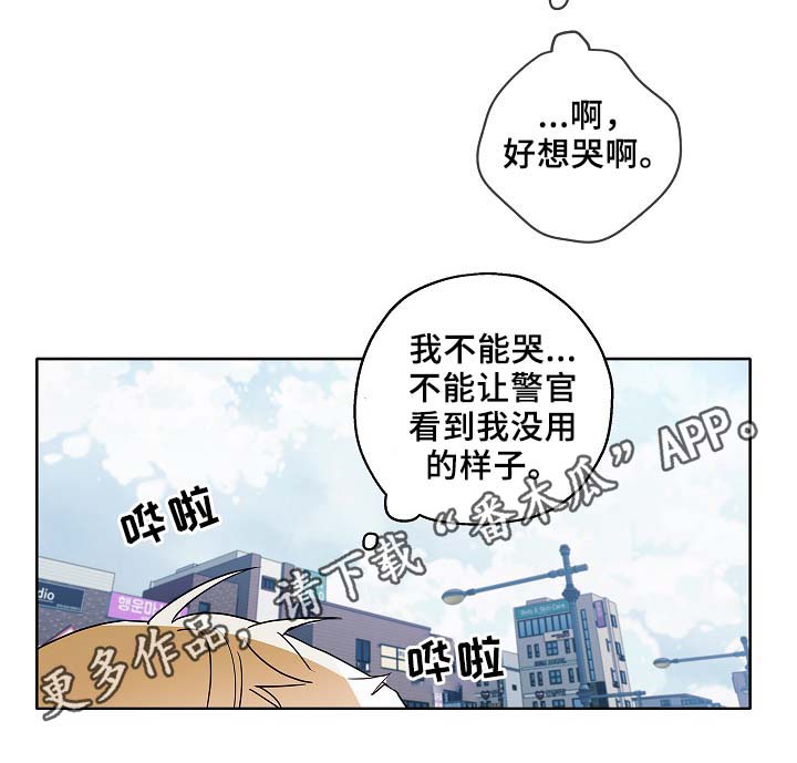 第47章：判决7