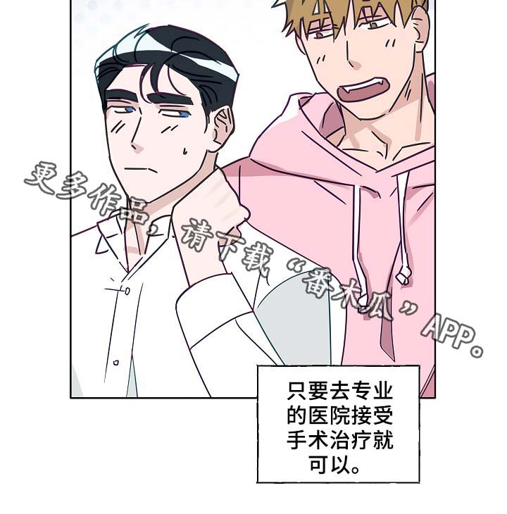 第45章：这就是爱情11