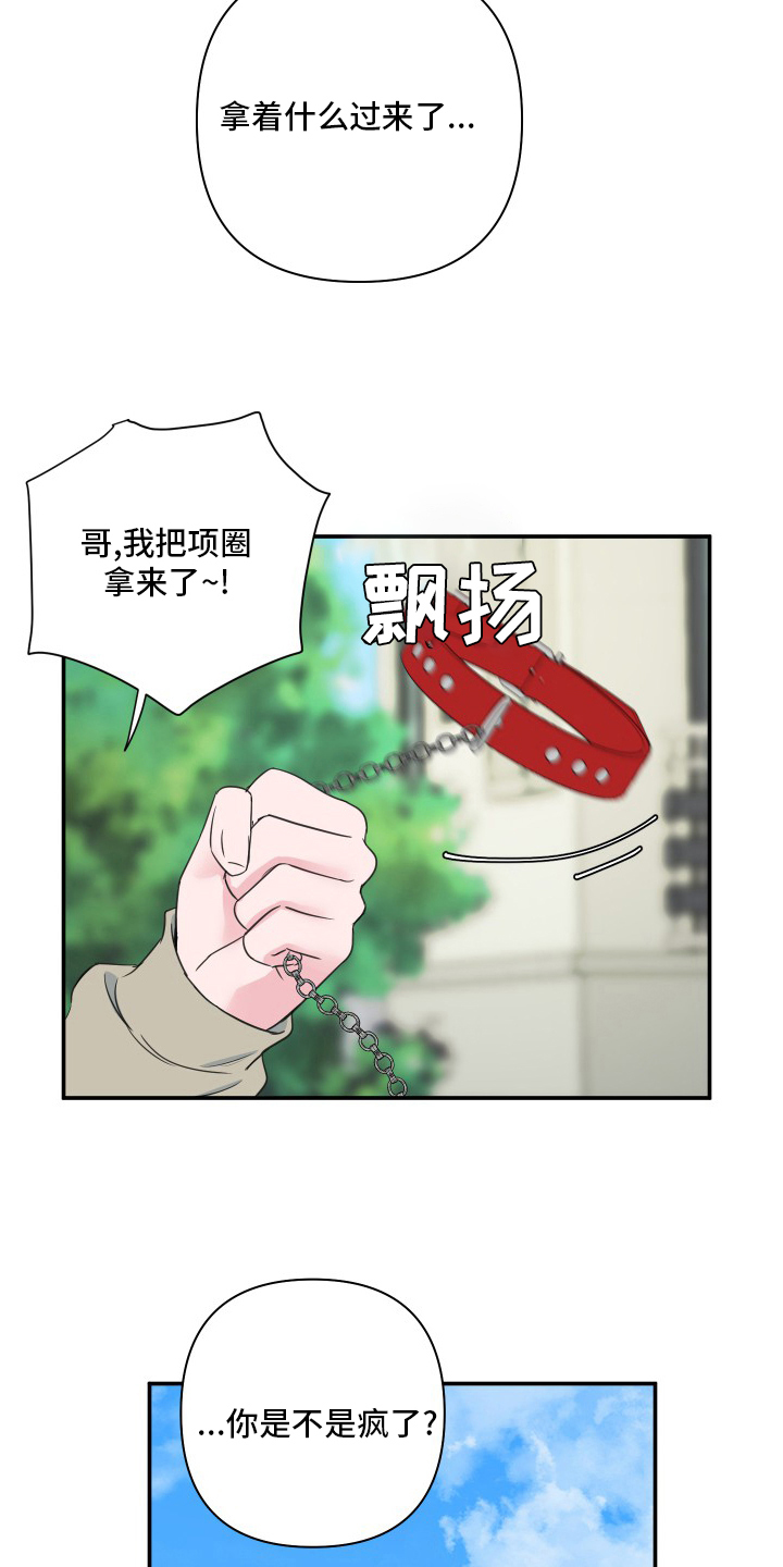 第53章：【第二季】号码11