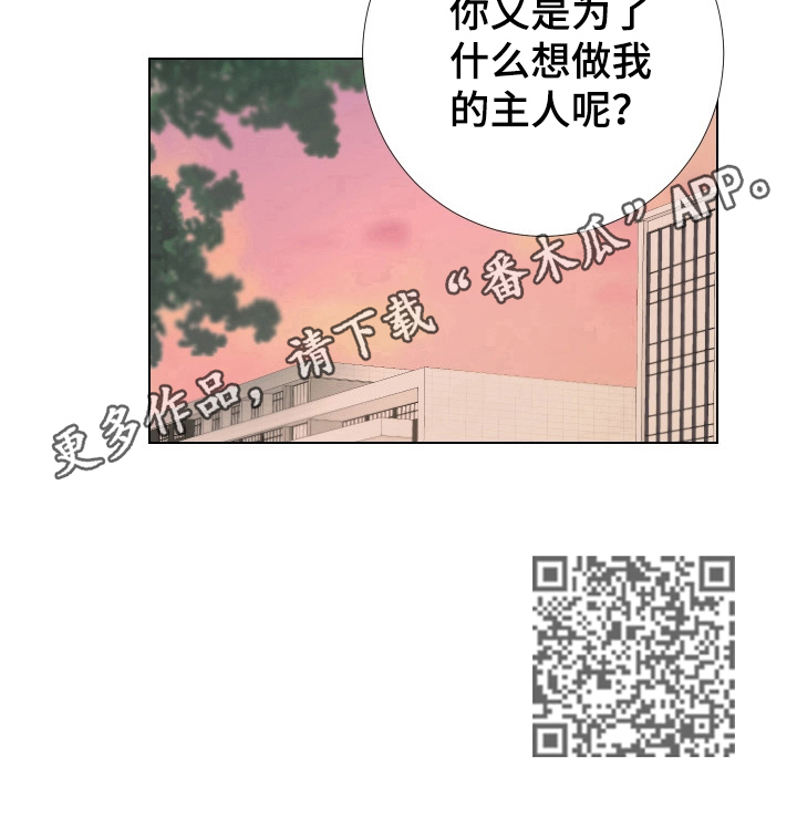 第21章：疑问10
