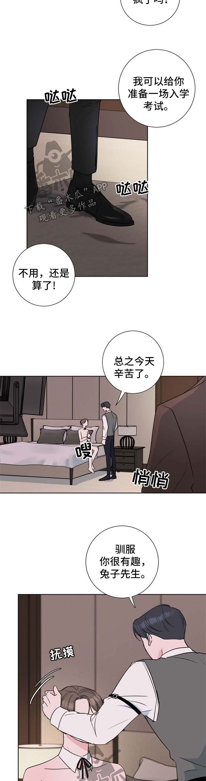 第28章：驯服9