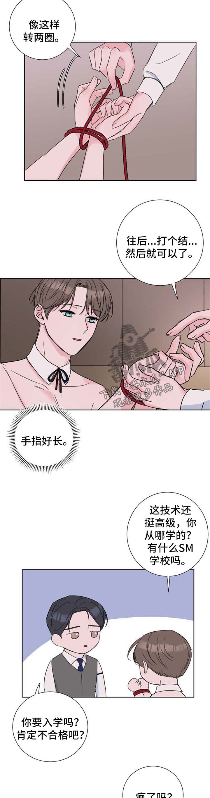 第28章：驯服8
