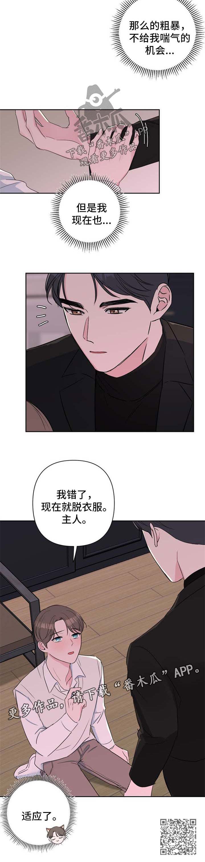 第32章：适应了11