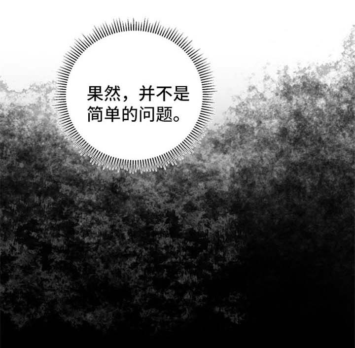 第30章：分析0