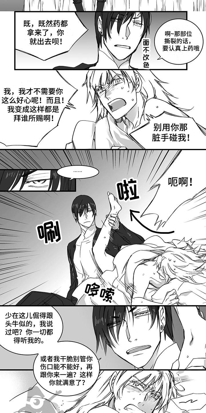 第11章：上药5