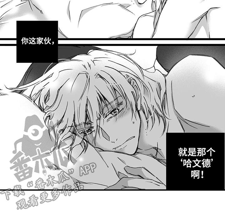 第24章：纠结8