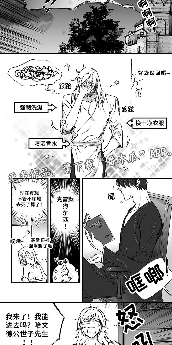 第6章：认命5