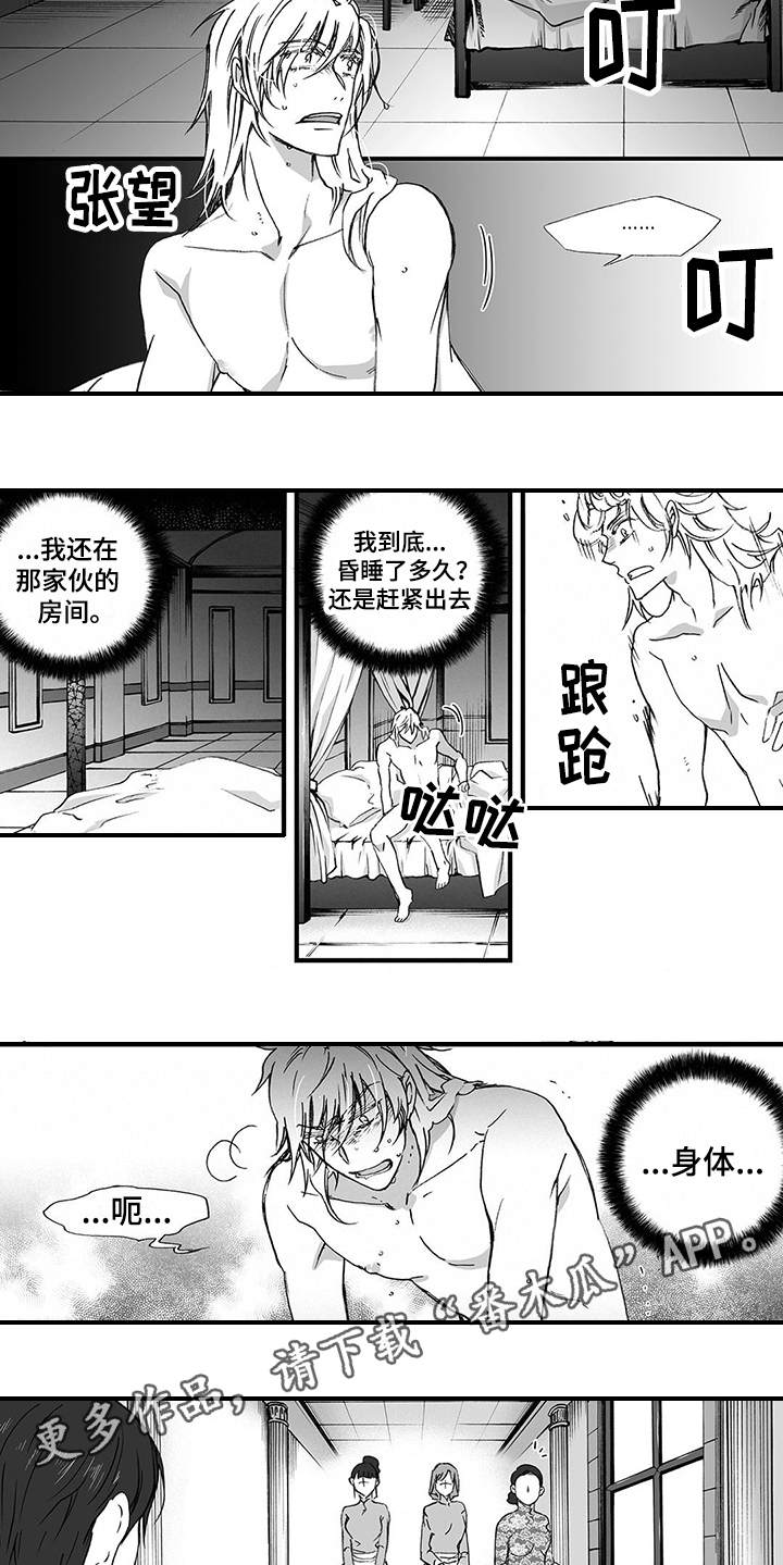 第8章：骑士团5