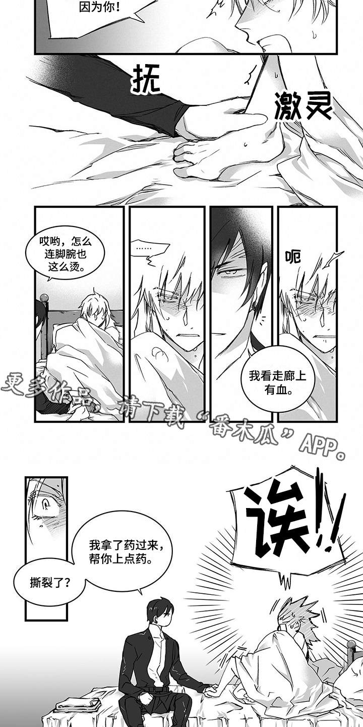 第11章：上药4
