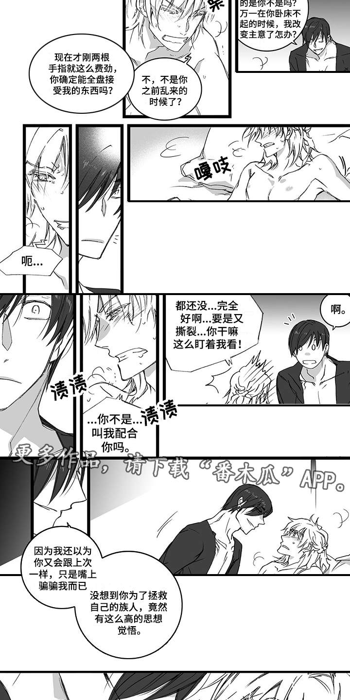 第23章：反应1