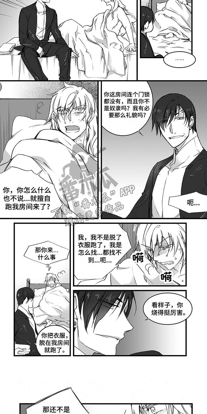 第11章：上药3